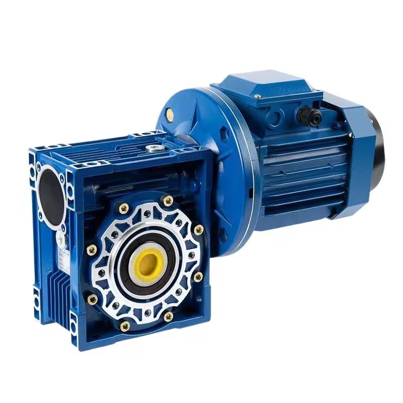 0.25Kw 0.37Hp RV Gear Motor